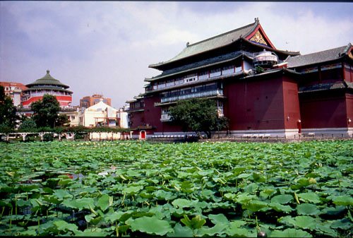 植物園