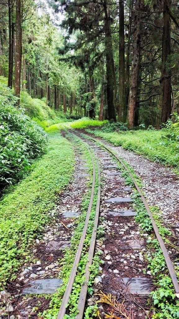 波麗士日記206-Taiwan PASS｜台鐵版【花蓮振興方