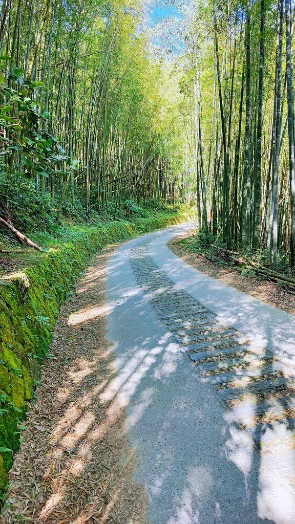 波麗士日記274-嘉義隙頂-二延平步道+茶林山步道