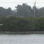 CIMG7519 - 複製.JPG