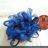 Daiso Hair Accessory-Ring Ponytail Holder-Blue-04