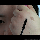 Daiso Makeup Challenge-Video1-Warm Earthy Eyes-Snapshot-volume-bristles.png