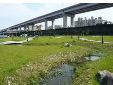翠提春曉3