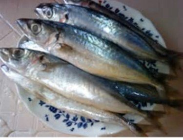鯖魚&amp;料理