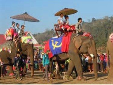 寮國象旅5