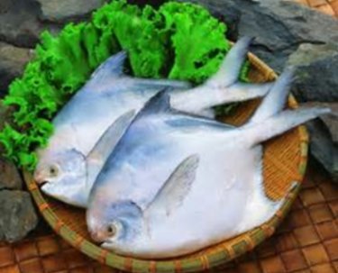 鯧魚&amp;料理