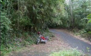 山村產業道路1