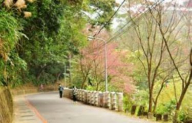 山村產業道路4