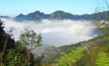 阿里山2