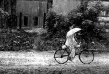 雨中行5