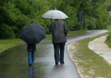 雨中行2