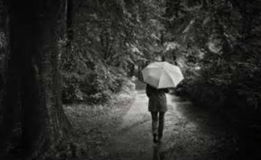 雨中行
