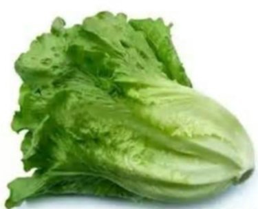 A%E9%98%BF%E8%8F%9C2-%E5%A4%A7%E9%99%B8%E5%A6%B9.jpg