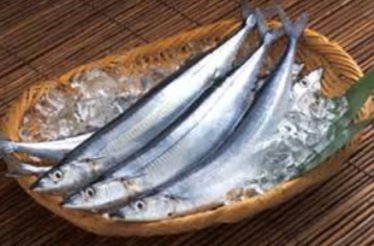 秋刀魚-1.jpg
