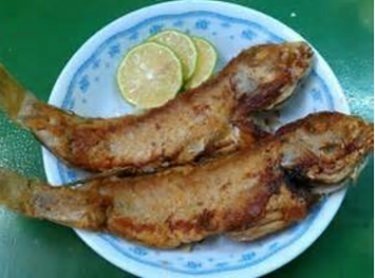 馬頭魚5.jpg