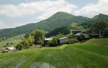 草山春色-01.jpg