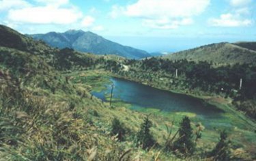 草山春色-02.jpg