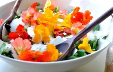 花之饗宴-01.jpg