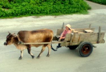 牛車-000.jpg
