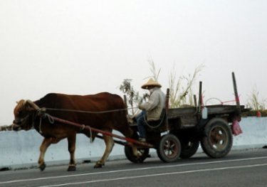 牛車-001.jpg