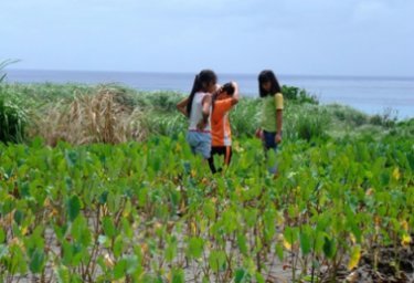 蘭嶼-001.jpg