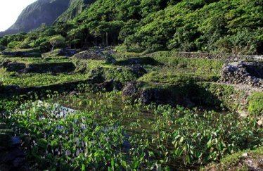 蘭嶼-003.jpg