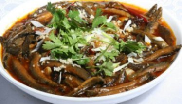 泥鰍-005.jpg