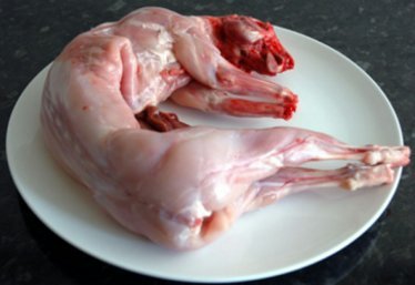 兔肉與料理-001.jpg