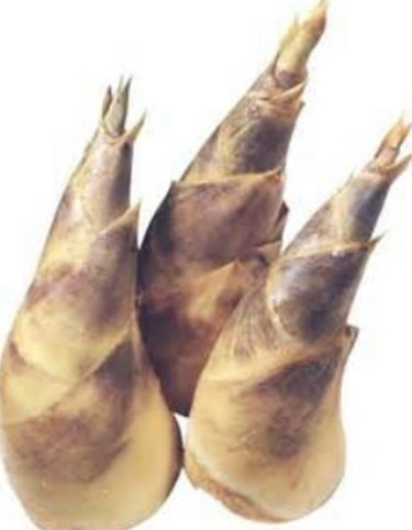 竹筍2-綠竹.jpg