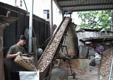 樟腦寮-000.jpg