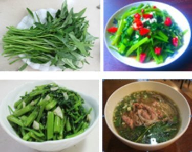 客家料裡隨筆088-空心菜篇.jpg