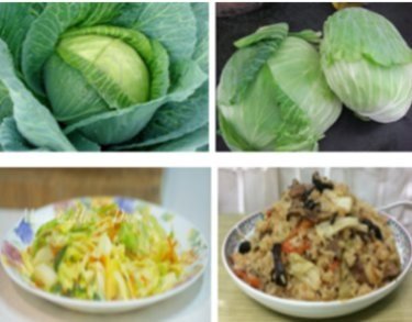 客家料裡隨筆099-高麗菜.jpg