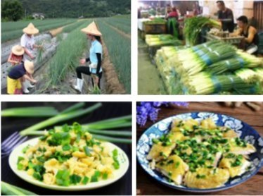 客家料理隨筆140-青蔥偏.jpg