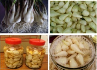 客家料理隨筆170-蕗蕎篇.jpg