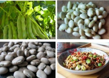 客家料理隨筆175-狗爪豆.jpg