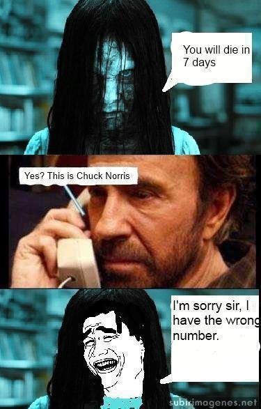 Chuck+Norris_482f06_3242608