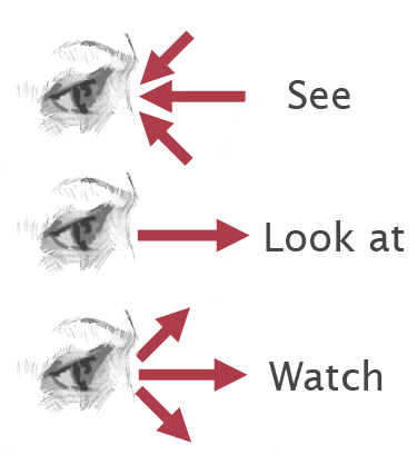 look-see-watch