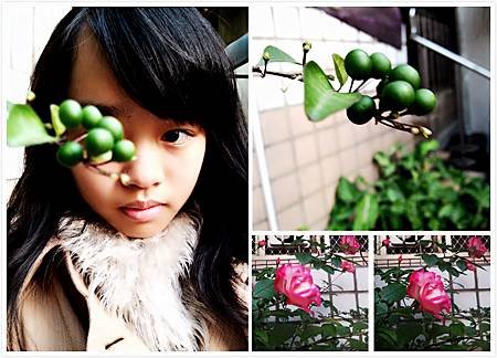 IMG_20150115_超商 (11)_meitu_8 x