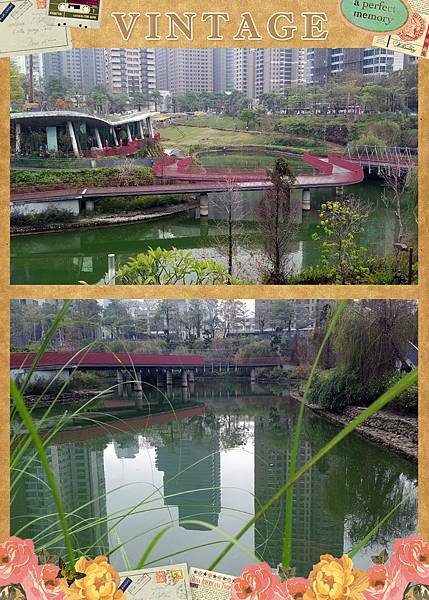 IMG_20150126_100509_meitu_10V