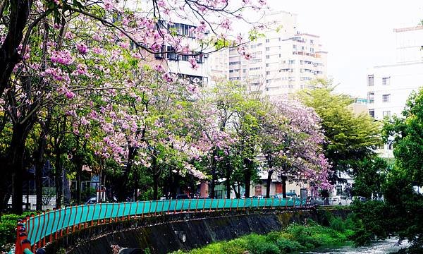 00 192_meitu_34.jpg