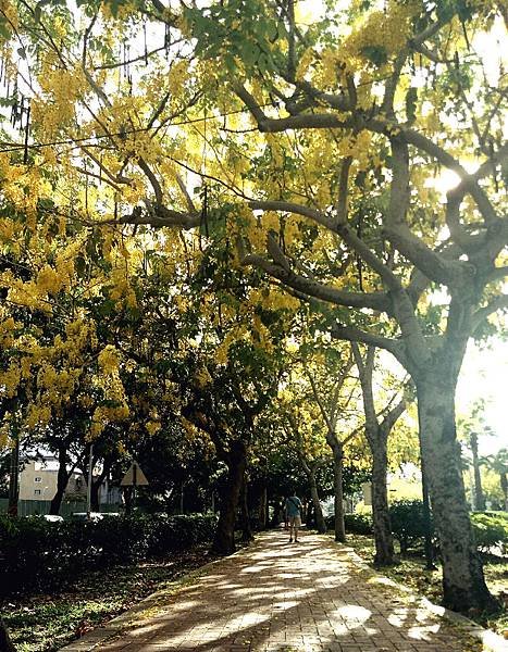 IMG_20190602_235657_meitu_2.jpg