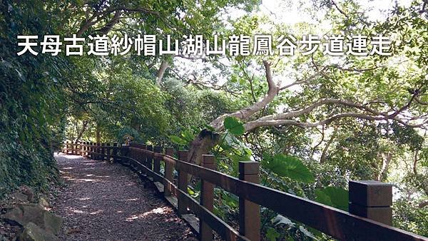 天母古道紗帽山湖山龍鳳谷步道連走.jpg