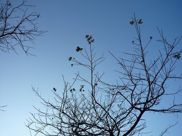09020612.jpg