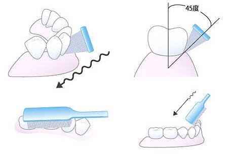 貝氏刷牙法 (Bass method)
