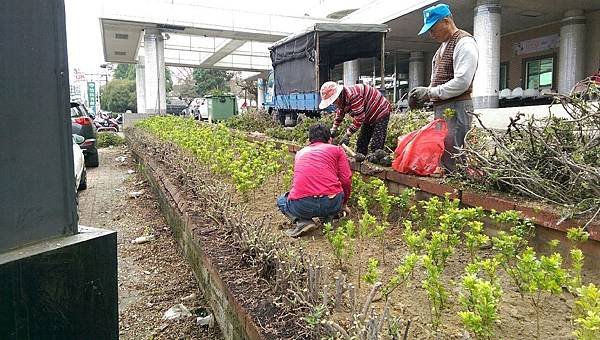 竹山秀傳移植工程_7639.jpg