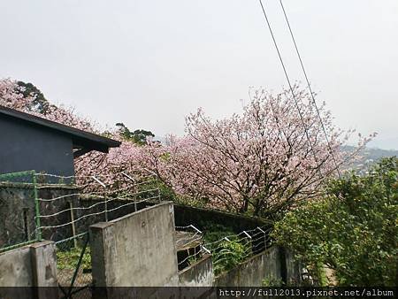 CIMG0620.JPG