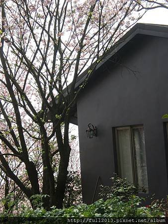 CIMG0644-1.JPG