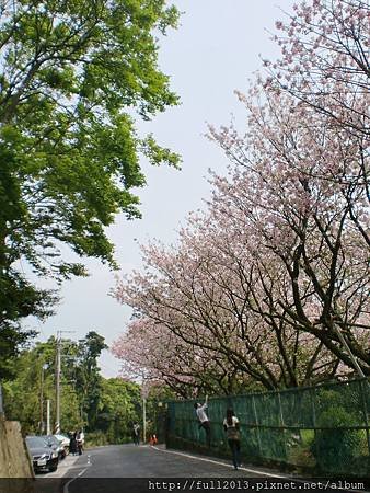 CIMG0680=1.JPG