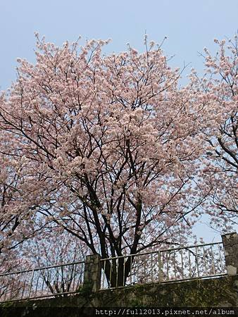 CIMG0709.JPG