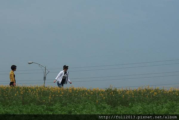 IMG_9484-1.JPG